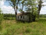 12 Acacia, 24680 Silver City
