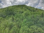 12 Willow Street, 37459 Silver City