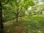 112 Teakwood Drive, 36425 Titanium City