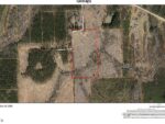 12 Acacia, 24680 Silver City