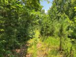 12 Willow Street, 37459 Silver City