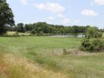 142 Willow Street, 54621 Ironville City