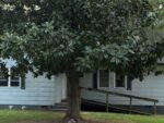 124 Birch Ave, 38904 Bronze Town