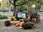 124 Violet Street, 65723 Silver City