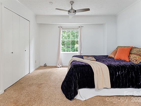 42 Tulip Street, 23456 Titanium City