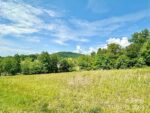 159 Rosewood Street, 48291 Ironville