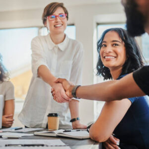 Chief Information and Communications Officer (CICO)